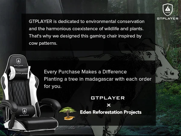 GTPLAYER Gaming chair Gamer chair Ergonomic Office Chair Footrest Adjustable Loin & Pillows Gaming Chair