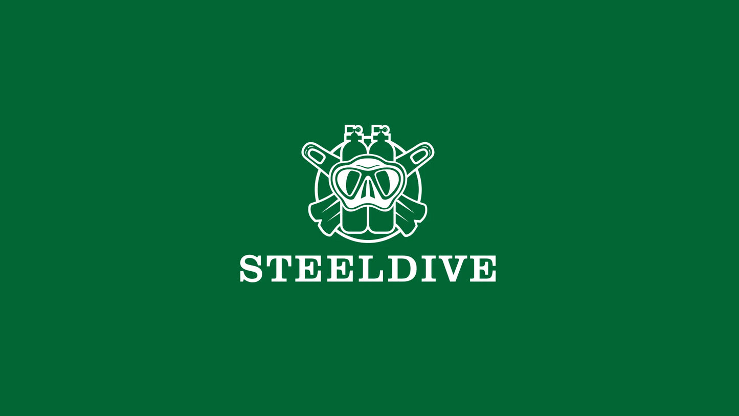 Steeldive Brand Watch SD1953 Water Ghost Diver Watch Men 300M Waterproof Sapphire Glass BGW9 Luminous NH35 Automatic Dive Watch