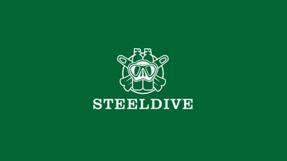 Steeldive Brand Watch SD1953 Water Ghost Diver Watch Men 300M Waterproof Sapphire Glass BGW9 Luminous NH35 Automatic Dive Watch