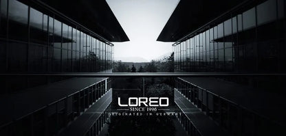 LOREO New Sapphire Glass Automatic Mechanical Watch Luxury Steel 200m Waterproof Business Watch Men Watches Reloj Hombre