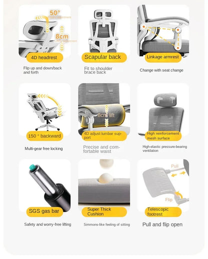 Sedia ergonomica da ufficio in mesh con supporto lombare, sedia da scrivania per computer a schienale alto per adulti, poltrona operativa confortevole per lunghe sessioni