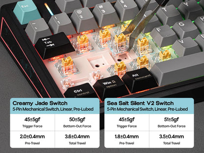 EPOMAKER TH80 V2 75% ANSI US Layout Gasket Tri-mode Wireless Mechanical Gaming Keyboard with 8000mAh Battey & RGB Backlight