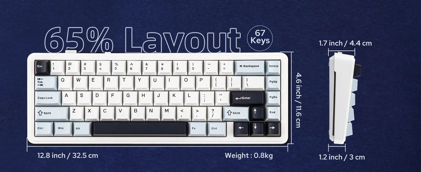 EPOMAKER x AULA F65 65% Layout Hot-Swap Gasket-mounted Wired/Bluetooth/2.4G Wireless Mechanical Keyboard for Mac/Win