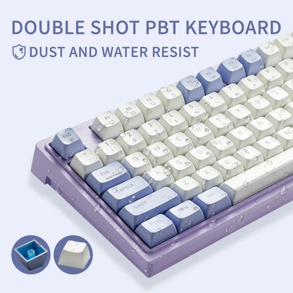 HEXGEARS M2 Mechanical Keyboard 87key Hot Swap PBT Gasket Structure White Backlit Macro Defined Gaming Mechanical Keyboard