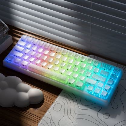 XVX M67 JadeStone Mechanical Keyboard 65% Tri-Mode Wireless Keyboard, Hot Swappable RGB Mechanical Keyboard with IMD Keycaps, Gasket Mount Gaming Keyboard