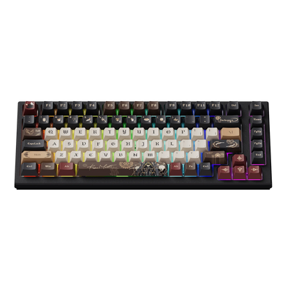 Akko TAC75 HE Magnetic Keyboard 75% Magnetic Switch Rapid Trigger 0.005mm ARGB 8K Polling Rate Wired Gamer Customized Keyboard
