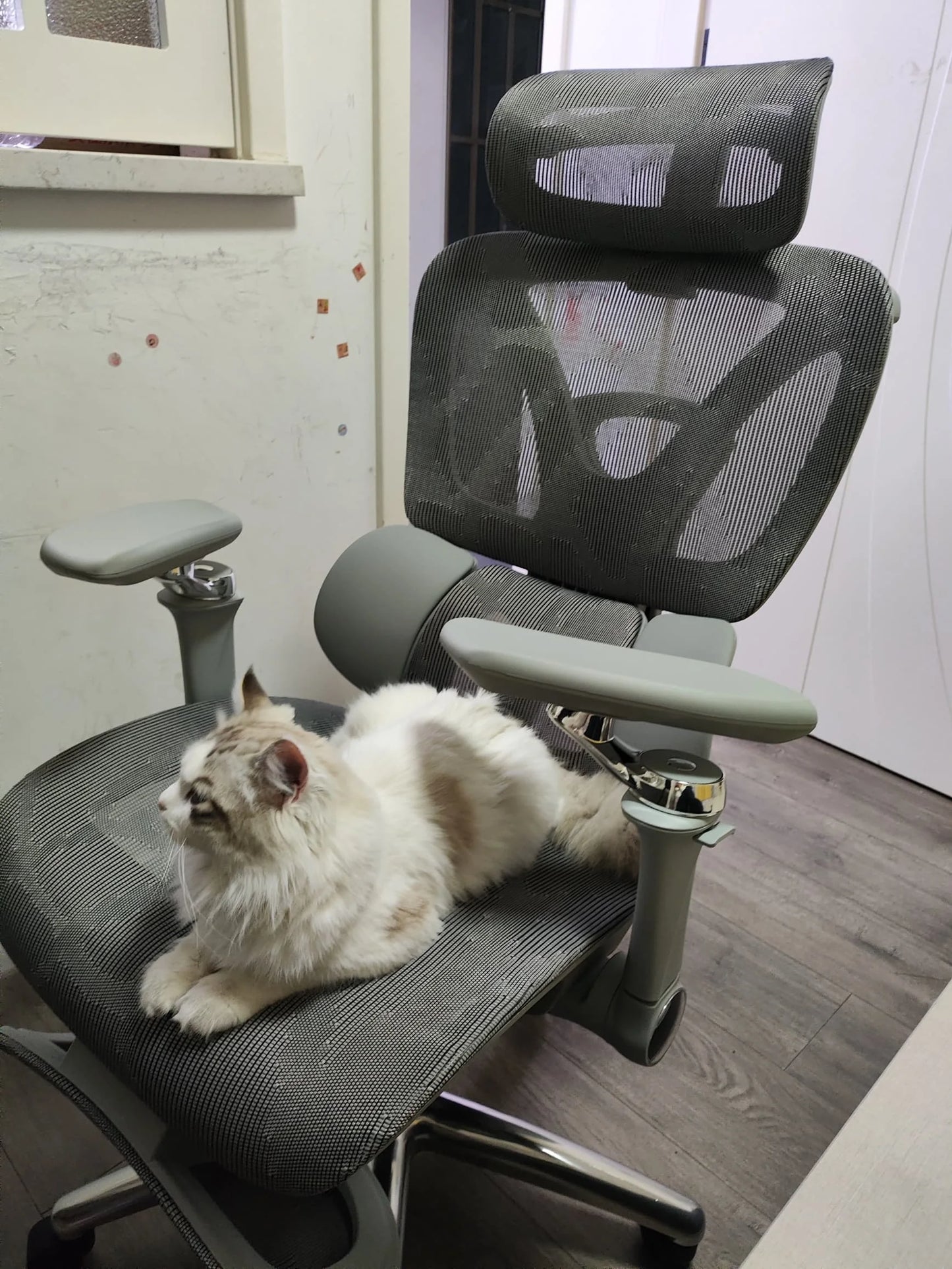 Ergonomic Office Chair Mesh Seat Adjustable Headrest Commercial Chair Footrests Support Comfortable Lumbar Chaise Ergonomique