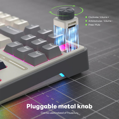 RK Royal Kludge RK R87Pro Gasket Wired Gamer Keyboard Hot-swappable 88 Keys Mechanical Keyboard 88% RGB Backlit With PBT Keycaps