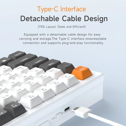 Ajazz AF82 Series 75% Layout Wireless Keyboard with 4000mAh Battery Low Profile Keys Bluetooth Tri-Mode Connectivity  RGB
