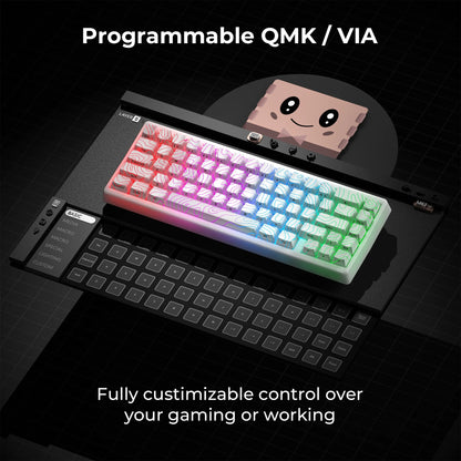 XVX M67 JadeStone Mechanical Keyboard 65% Tri-Mode Wireless Keyboard, Hot Swappable RGB Mechanical Keyboard with IMD Keycaps, Gasket Mount Gaming Keyboard