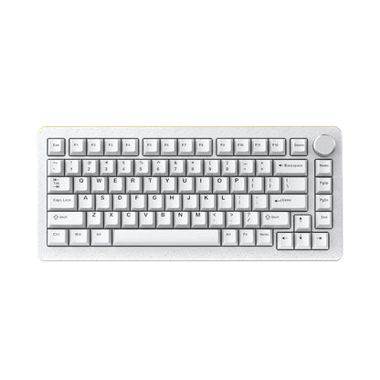DrunkDeer A75 Pro HE Magnetic Switch Gaming Keyboard Rapid Trigger Wired RGB Mechanical Keyboard Hot-Swap Gasket Mount