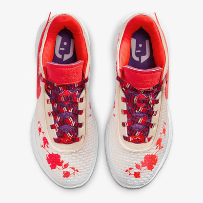 Nike originele LEBRON XX PREMIUM EP praktische basketbalschoenen voor heren en dames FJ0724-801