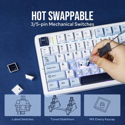 AULA F99 PRO 96% Layout Hot-Swappable Gasket-Mounted Wired/Bluetooth/2.4GHz Wireless Mechanical Keyboard for Mac/Win
