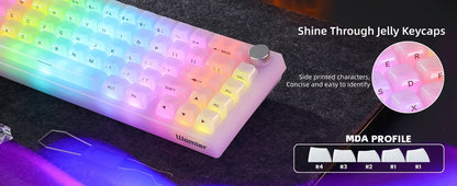 Womier Q61 V2 Wireless 65% Mechanical Keyboard with Knob VIA Programmable Support Tri-Mode BT/2.4G/USB-C Hot-Swap RGB for Mac/PC
