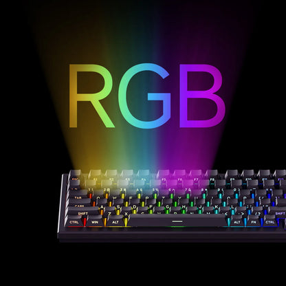 Akko TAC75 HE Magnetic Keyboard 75% Magnetic Switch Rapid Trigger 0.005mm ARGB 8K Polling Rate Wired Gamer Customized Keyboard