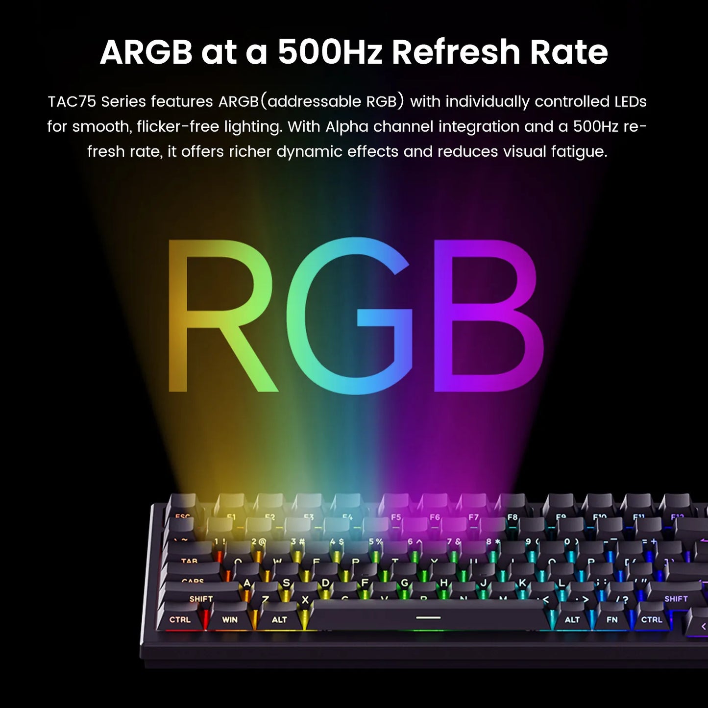 Akko TAC75 HE Magnetic Keyboard 75% Magnetic Switch Rapid Trigger 0.005mm ARGB 8K Polling Rate Wired Gamer Customized Keyboard