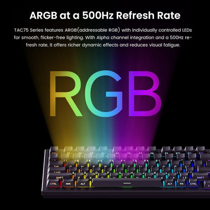 Akko TAC75 HE Magnetic Keyboard 75% Magnetic Switch Rapid Trigger 0.005mm ARGB 8K Polling Rate Wired Gamer Customized Keyboard