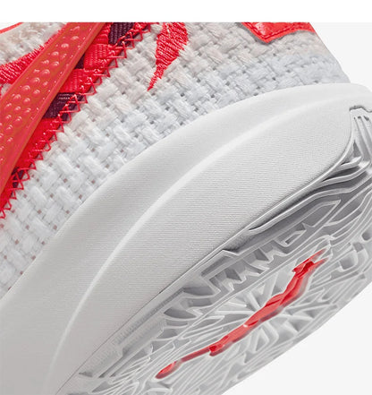 Nike originele LEBRON XX PREMIUM EP praktische basketbalschoenen voor heren en dames FJ0724-801