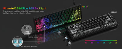 Womier M68 HE Rapid Trigger Keyboard Hall Effect Gamer Keyboard Wired RGB Custom Mechanical Keyboard with Magnetic Switch for PC
