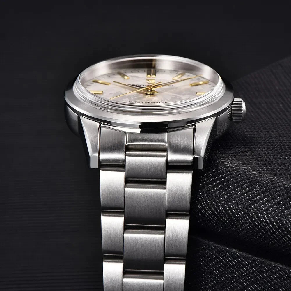 PAGANI DESIGN 40MM Meteorit-Zifferblatt Herren-Quarzuhr Luxus Business Saphir 316L Edelstahl 100M wasserdichte Uhr für Herren