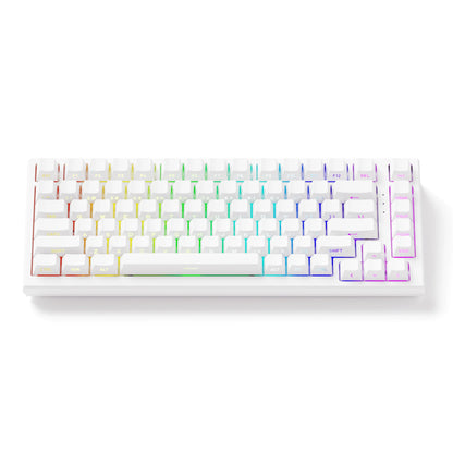 Akko TAC75 HE Magnetic Keyboard 75% Magnetic Switch Rapid Trigger 0.005mm ARGB 8K Polling Rate Wired Gamer Customized Keyboard