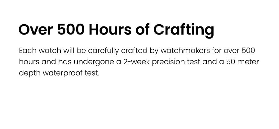 AGELOCER Original Budapest Watch Steel Strap Men's Business Dress Big Calendar Automatic Mechanical Watch Birthday Gift for Men