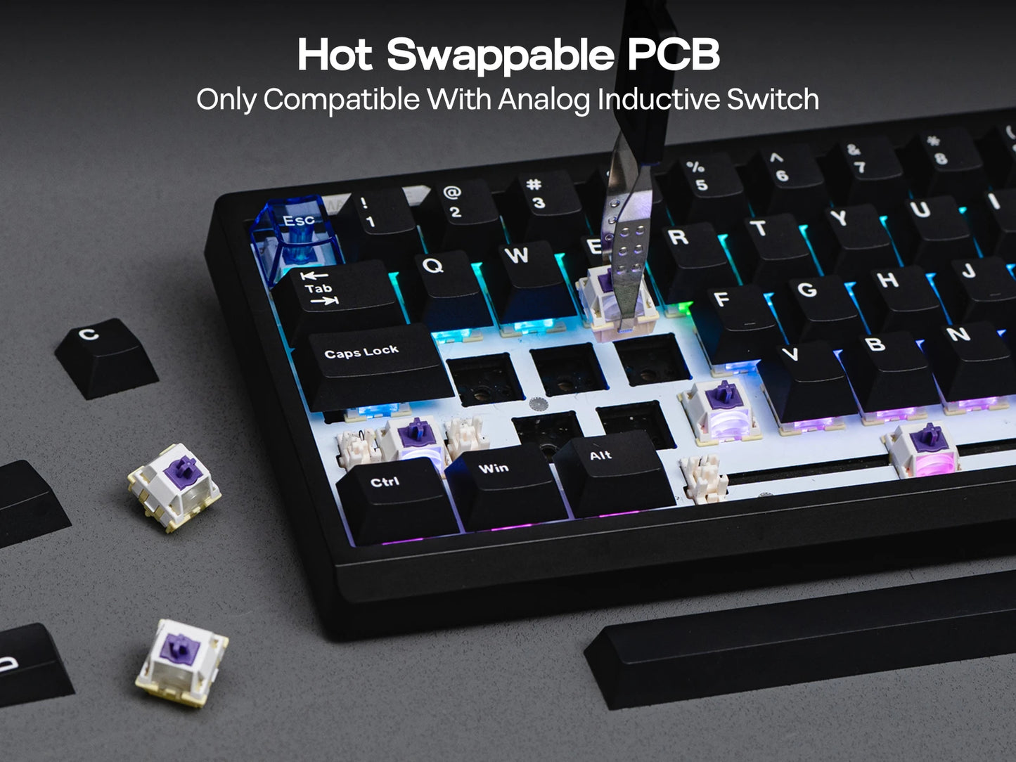 EPOMAKER Magcore65 Lite 65% US QWERTY Layout Wired/BT/2.4Ghz Wireless Mechanical Gaming Keyboard 8K Polling Analog Switch