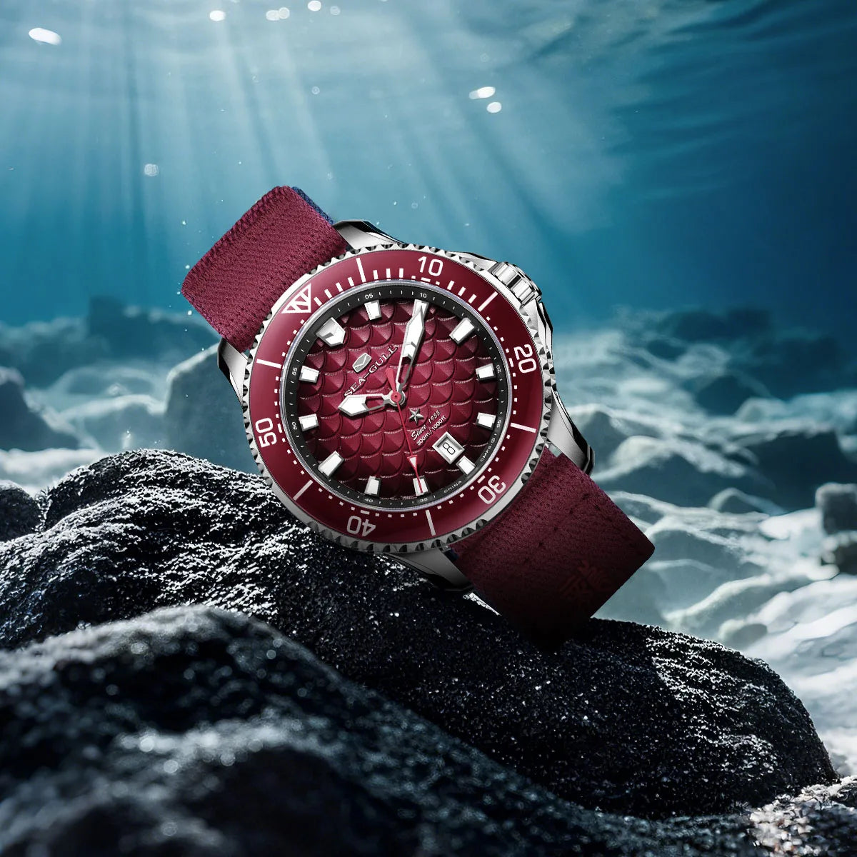 Seagull King of the Dragon Men's Watches Automatic Mechanical Watch Sports Diver 300M Waterproof Wristwatch Luxury 2024 New 1216