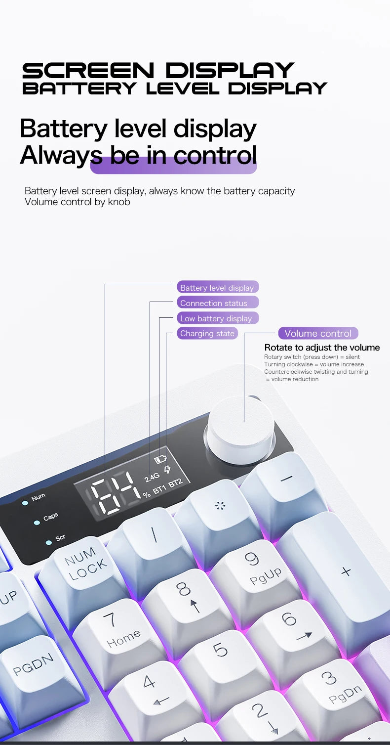 XUNFOX TK100 Bluetooth Wireless Dual-Mode Keyboard, 98-Key RGB Wireless Gaming Keyboard with Rechargeable Battery for Desktop, Laptop & Office