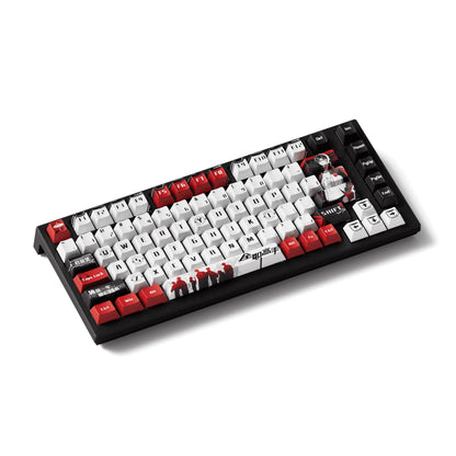 Akko TAC75 HE Magnetic Keyboard 75% Magnetic Switch Rapid Trigger 0.005mm ARGB 8K Polling Rate Wired Gamer Customized Keyboard