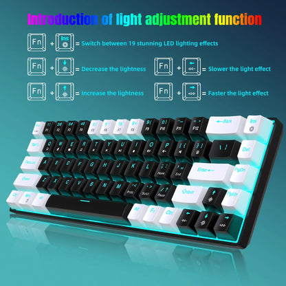 Glo 68 Keys Mechanical Keyboard Ergonomics RGB Backlit LED Hot Swappable Blue Switch Gaming Keyboard for PC Laptop Office