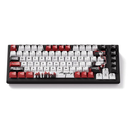 Akko TAC75 HE Magnetic Keyboard 75% Magnetic Switch Rapid Trigger 0.005mm ARGB 8K Polling Rate Wired Gamer Customized Keyboard