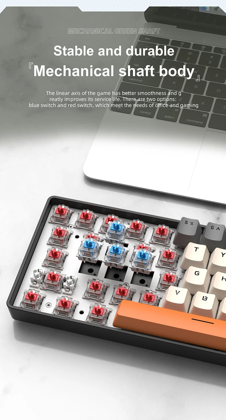 61 Keys RGB Mechanical Keyboard Wired K61 Mini Keyboard 60% Portable Black,White, Red/Blue Switch for Gaming\Work