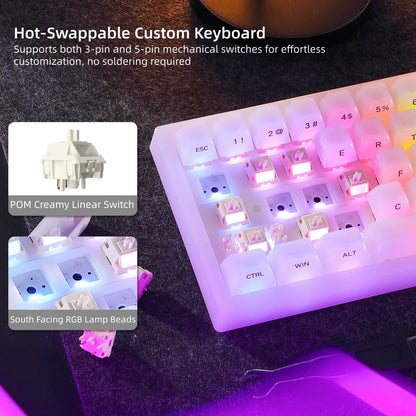 Womier Q61 V2 Wireless 65% Mechanical Keyboard with Knob VIA Programmable Support Tri-Mode BT/2.4G/USB-C Hot-Swap RGB for Mac/PC