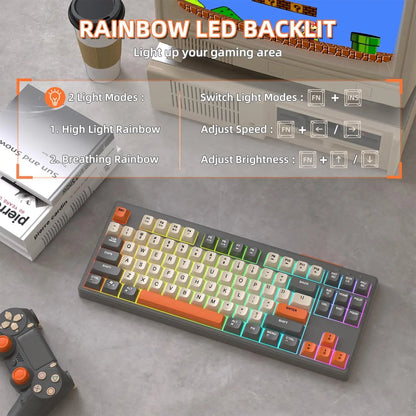 M87 Wireless Gaming Keyboard, Bluetooth 5.0/2.4GHz with Dual Mode 2-in-1 Receiver, 87 Keys TKL Rainbow LED Backlit Quiet Keyboard