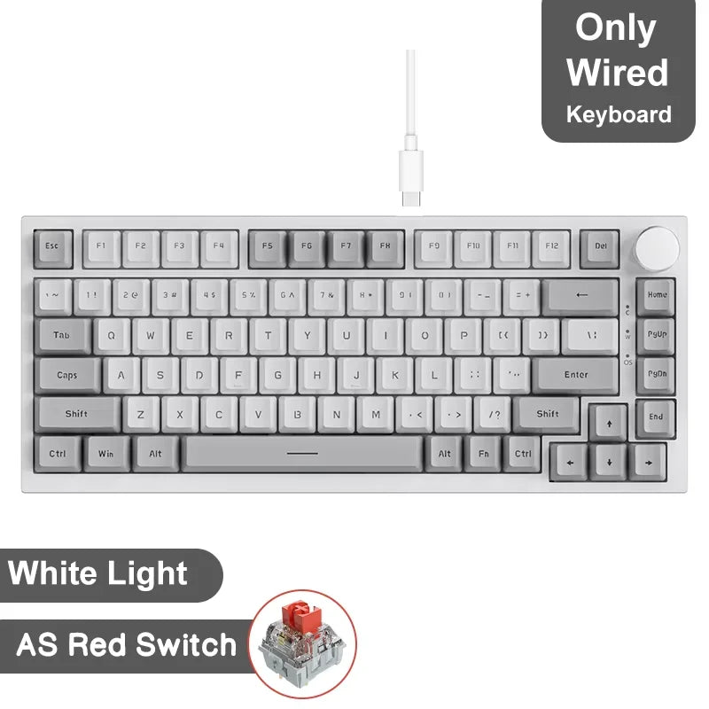 Ajazz AK820/AK820Pro Gaming Mechanical Keyboard Bluetooth 5.1/Wireless/Wired Custom Keyboard With Heat Exchange Sealed Button