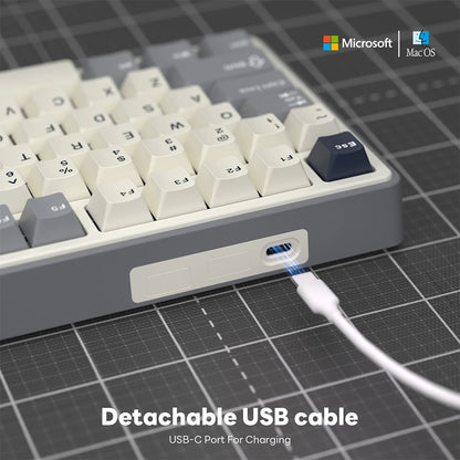 RK Royal Kludge RK R87Pro Gasket Wired Gamer Keyboard Hot-swappable 88 Keys Mechanical Keyboard 88% RGB Backlit With PBT Keycaps