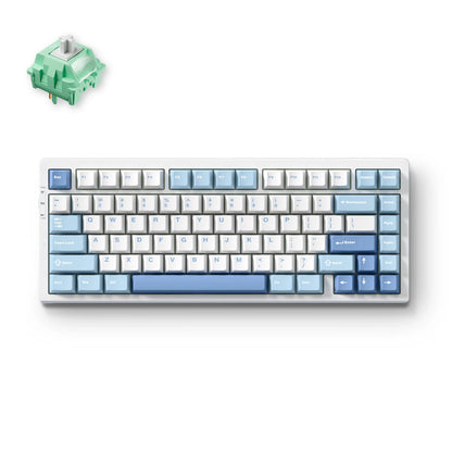 MCHOSE G75 Pro Wireless Mechanical Keyboard 75% Layout Gasket Mounted 5 Layers Dampening RGB Backlit Tri-Mode Hot Swappable