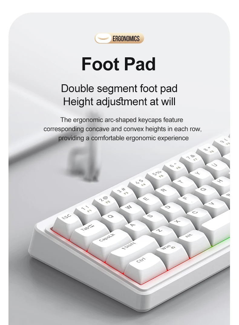 FREEWOLF M68SE Mechanical Feel Keyboard 68 Keys Mini Wired Compact Keyboard Silent for Laptops,Gaming and Office Use