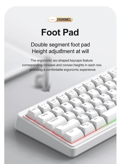 FREEWOLF M68SE Mechanical Feel Keyboard 68 Keys Mini Wired Compact Keyboard Silent for Laptops,Gaming and Office Use