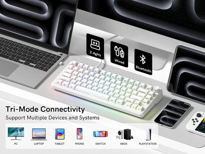 Womier L75 White Crystal Wireless Gaming Keyboard Tri-Modes Hot-Swappable Customized RGB Backlight Mechanical Keyboard Gasket