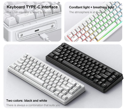 FREEWOLF M68SE Mechanical Feel Keyboard 68 Keys Mini Wired Compact Keyboard Silent for Laptops,Gaming and Office Use