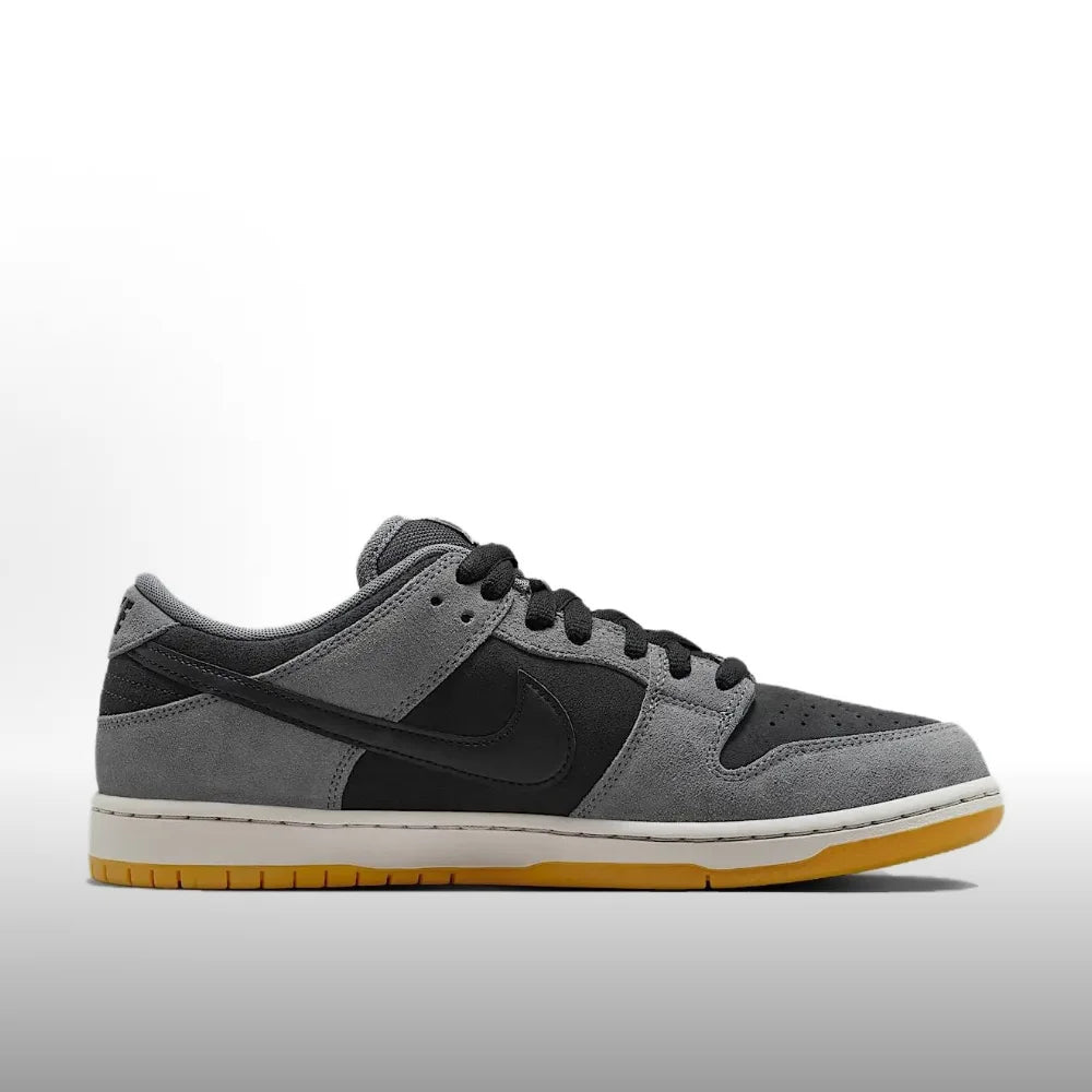 Nike Dunk SB – Adidași casual cu talpă joasă, la modă, versatili, cu confort premium, rezistenți și antiderapanti HF3063-001