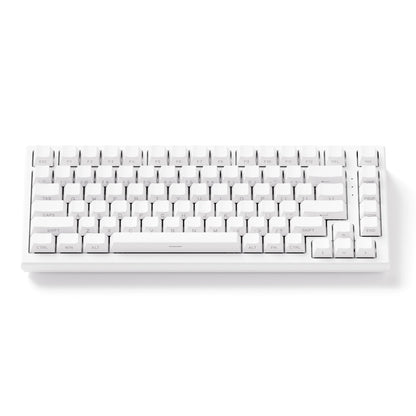 Akko TAC75 HE Magnetic Keyboard 75% Magnetic Switch Rapid Trigger 0.005mm ARGB 8K Polling Rate Wired Gamer Customized Keyboard
