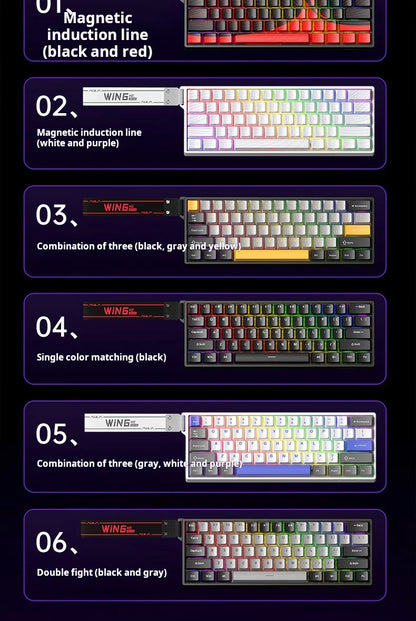 AULA WIN60 HE Wired Connection Magnetic Axis Keyboard RT Custom Mechanical Keyboard for E-sports Games 8K Polling Rate
