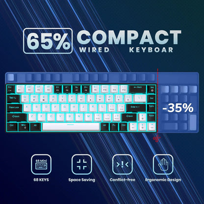 Glo 68 Keys Mechanical Keyboard Ergonomics RGB Backlit LED Hot Swappable Blue Switch Gaming Keyboard for PC Laptop Office