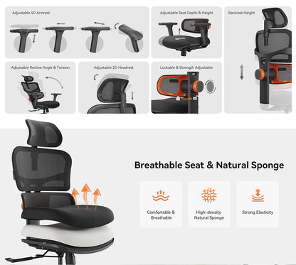 NEWTRAL NT001 Ergonomic Office Chair with Auto-Following Lumbar Support, Adjustable Headrest, 3D Armrest, Reclining Executive Desk Chair