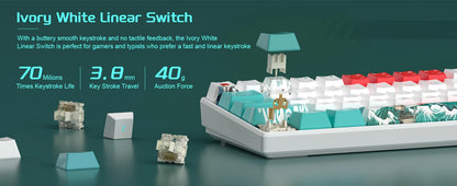 MageGee 60% Mechanical Gaming Keyboard, RGB Full Hot-swappable Customized Switch 61 Keys Mini Office Keyboard for Win/Mac Laptop
