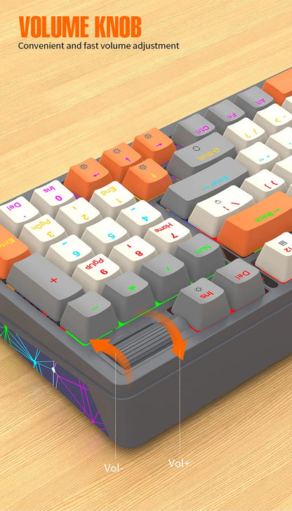 Wireless Mechanical Keyboard 96 Keys 100% Layout Spanish Russian Korean Arabic Mechanical Keyboard Bluetooth RGB K95 2000mAh