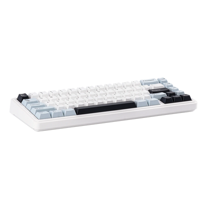 EPOMAKER x AULA F65 65% Layout Hot-Swap Gasket-mounted Wired/Bluetooth/2.4G Wireless Mechanical Keyboard for Mac/Win